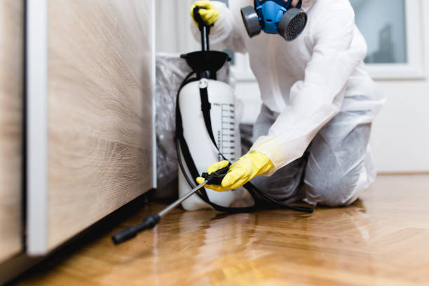 Best Wasp Removal Services  in Northford, CT