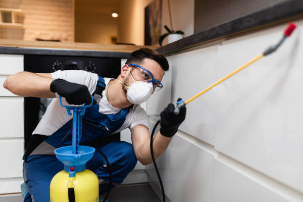 Reliable Northford, CT Pest Control Solutions