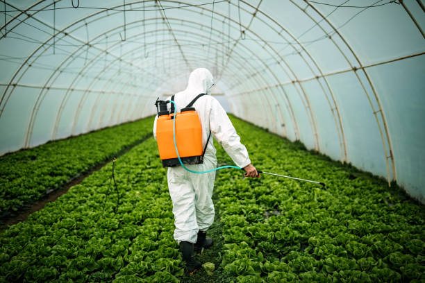 Best Ant Control Services  in Northford, CT