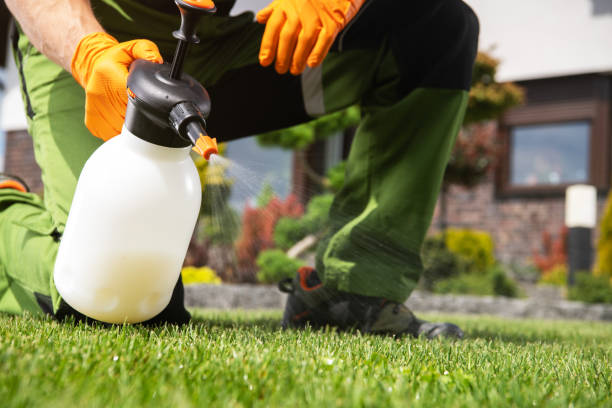 Best Commercial Pest Control Services  in Northford, CT