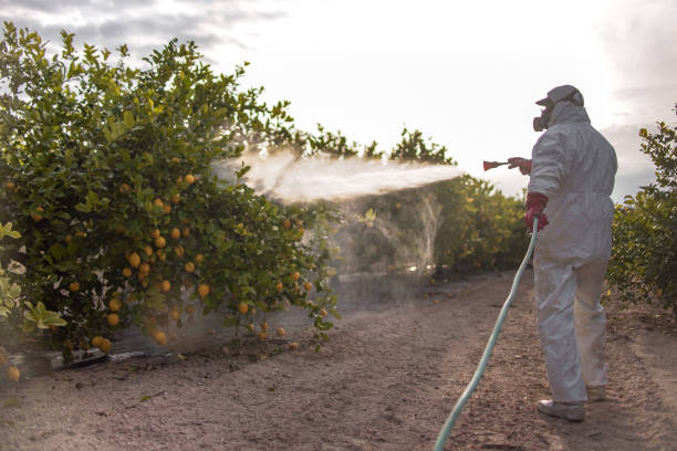 Best Mosquito Control Services  in Northford, CT