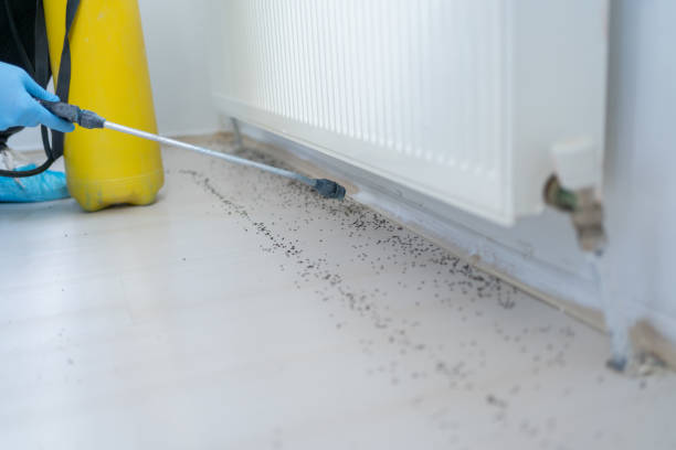 Best Residential Pest Control  in Northford, CT