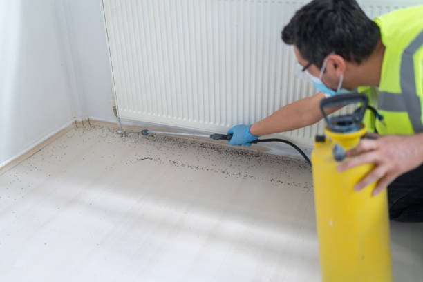 Best Best Pest Control Companies  in Northford, CT
